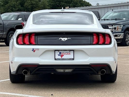 2021 Ford Mustang EcoBoost in Fort Worth, TX - Fort Worth Nissan