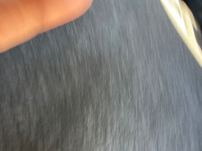 2026 Nissan Rogue Hybrid SL